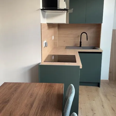 Fully Renovated 2 Bedrooms In Old Apartment